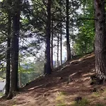 Апартаменты за рікою