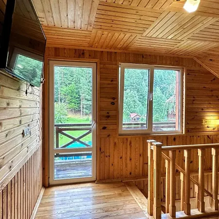 Apartmán за рікою Tatariv