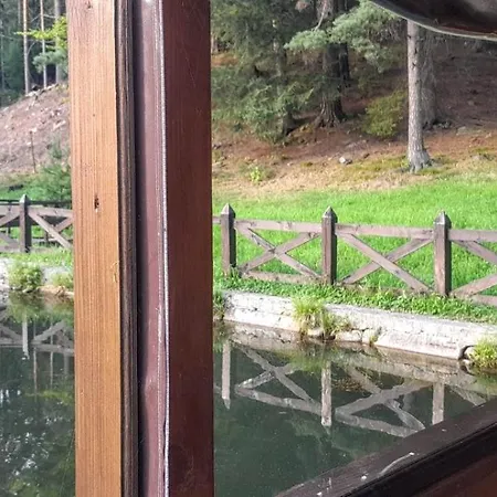 за рікою 公寓