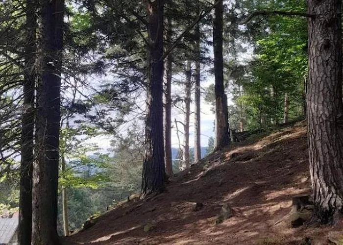 Апартаменти за рікою